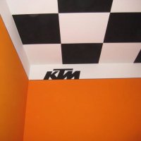 Decorazioni murali - foto 59