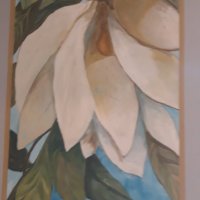 Decorazioni murali - foto 14